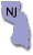 Official Gloucester Census data sets from NJPAIP Official Links
